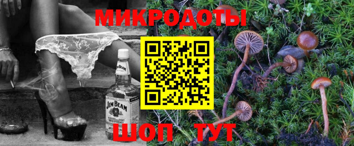 Псилоцибиновые грибы Cubensis Щёлково