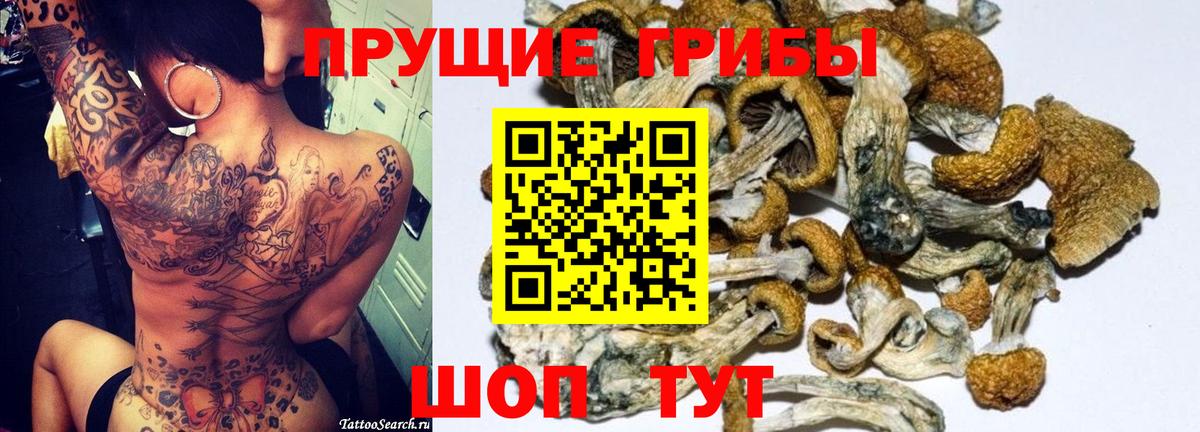 Щёлково  Псилоцибиновые грибы GOLDEN TEACHER  как найти закладки  Вход с VPN 
